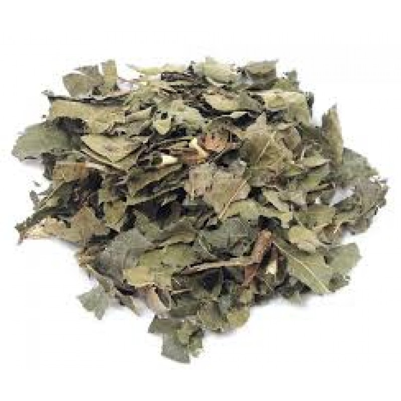 CH DE ESPINHEIRA SANTA PACOTE100g